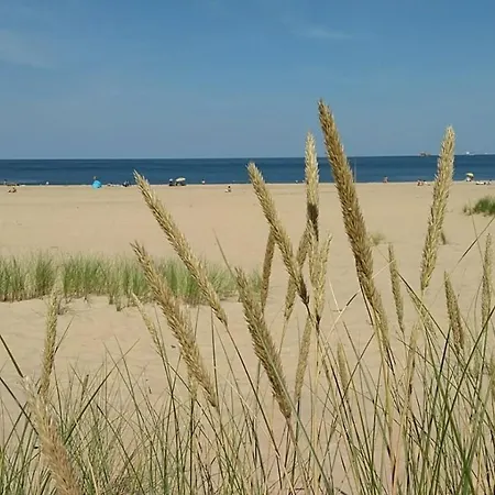 Homestay szállás Goscinne *