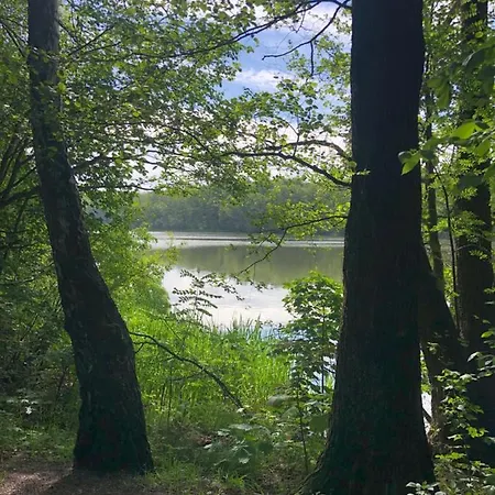 Goscinne Alloggio in famiglia *